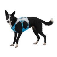 Ensemble de harnais et de laisse pour chat et chien personnalisable, luxueux, doux pour la peau et respirant, avec des dispositifs anti-évasion