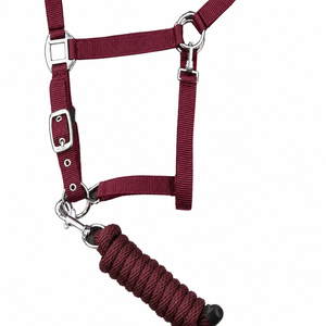 Customized Personalized Nylon Horse Padded <b>Halter</b> English Saddle Rope Lead High Quality Waterproof Durable OEM Custom Logo - Product Image 1