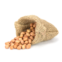 Kacang Tanah India Kelas Ekspor Premium, Kadar Air Maksimal 7-9%, Campuran 1% Aflatoxin, Sesuai Standar, Kemasan Dapat Disesuaikan, Grosir
