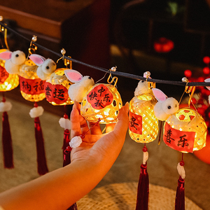 Lanterne animale Matériau léger en bambou Idéal pour la décoration de jardin extérieur Fabriqué à la main au Vietnam avec détails - Product Image 1