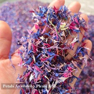 コーンフラワーズオーガニックミックス6色乾燥天然手作り<span class=keywords><strong>Centaurea</strong></span> <span class=keywords><strong>Cyanus</strong></span>装飾用/ベーカリー/ティーバス/キャンドルカスタムパック - Product Image 4