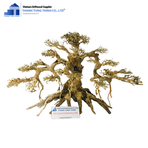 Decoraciones de Acuario de Acero Inoxidable Vietaquaticwood para Paisajes de Peceras, Caracoles, Hechas en Vietnam, Ecológicas, para Guppys y Molly - Product Image 1