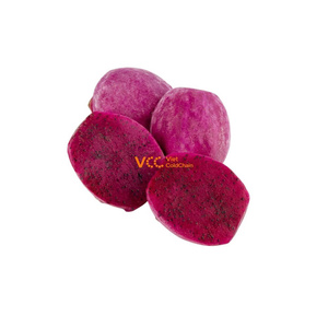 ผลไม้มังกรแดงแช่แข็งแบบ IQF พรีเมียม บรรจุภัณฑ์สุญญากาศแบบเป็นก้อน 100% จากธรรมชาติ ได้รับการรับรองสำหรับการขายปลีกและบริการอาหาร - Product Image 1