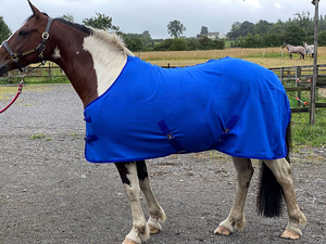 Manta de Invierno para Caballo, Hermosa, Colorida y a la Moda, Personalizable, Transpirable, Fácil de Poner, Cálida - Product Image 6