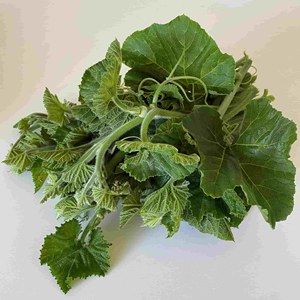 Feuilles de courge congelées 150g 250g, hachées, nettoyées, déchiquetées, feuilles d'Ugwu, fournisseur et exportateur du Vietnam ANGLE - Product Image 2