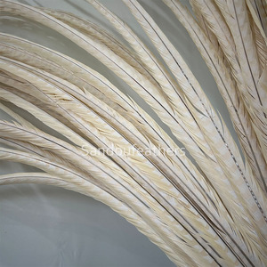Plumas de Faisán Reeves Blancas de 140 cm de Largo al por Mayor para Disfraces de Samba, Decoración de Carnaval, Espectáculos y Tocados - Product Image 5