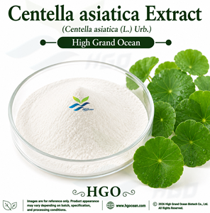 Hgo สารสกัดจาก Centella Asiatica สารสกัดจาก Gotu Kola อัตราส่วนอาหาร20:1 5:1 4:1 10:1 100:1 200:1 - Product Image 1