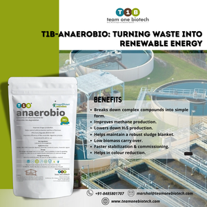 Biocultivo de tratamiento de aguas residuales anaeróbicas para reactores UASB y EGSB para maquinaria de tratamiento de residuos - Product Image 3