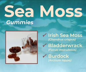 OEM Supply Irish Sea Moss Gummies with Bladderwrack & Burdock for Adults-Immune & Energy Support Antioxidant <b>Gummy</b> <b>Candy</b> - Product Image 5