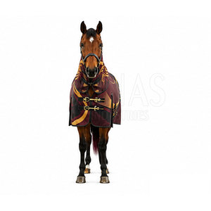 AINAS INDUSTRIES Couvertures pour chevaux en nylon imprimées sur mesure de haute qualité, durables, en tissu Ripstop respirant, légères et personnalisables - Product Image 4