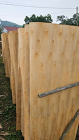 Plaques de placage en bois de caoutchouc 100 % naturel, coupées en tranches, séchées au soleil/au four, écologiques, durables, matériau de base pour contreplaqué, qualité industrielle européenne