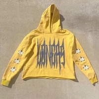 Sudadera con Capucha de Felpa Francesa Personalizada, 100% Algodón, para Invierno, con Bordado 3D, Corte Recortado, para Hombre y Mujer
