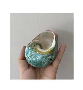 แหวนผ้าเช็ดปากเปลือกหอยเทอร์โบสีฟ้าขัดเงาคุณภาพสูงเหมาะสำหรับการตกแต่งเทศกาลงานแต่งงานของขวัญของที่ระลึกจากเปลือกหอย - Product Image 5