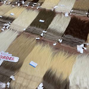 Dentelle chaude hd fermeture de cheveux humains bruts tran vietnamien fermeture de dentelle et cheveux humains frontaux cheveux bruts vietnamiens prêts à expédier - Product Image 6