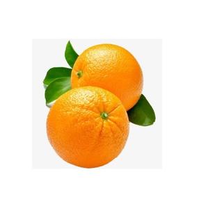 Máquina Clasificadora de Frutas con Rodillos para Manzanas y Naranjas - Gran Capacidad, Alta Eficiencia, Multifunción, 110/220/380V, 1 Año de Garantía - Product Image 1