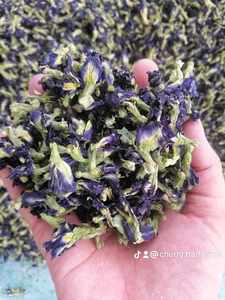 Proveedor mayorista de flores de guisante mariposa secas naturales de Vietnam, flores de guisante mariposa secas premium para uso como ingrediente en bebidas - Product Image 3