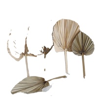 Offre Spéciale de palmier feuilles de palmier séchées naturelles/ventilateurs à main en bambou jonc de mer tenture murale pour la décoration de mariage d'art de fête