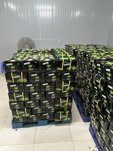 Lime sans pépins fraîche du Vietnam de haute qualité pour l'exportation avec le prix concurrentiel - Product Image 6