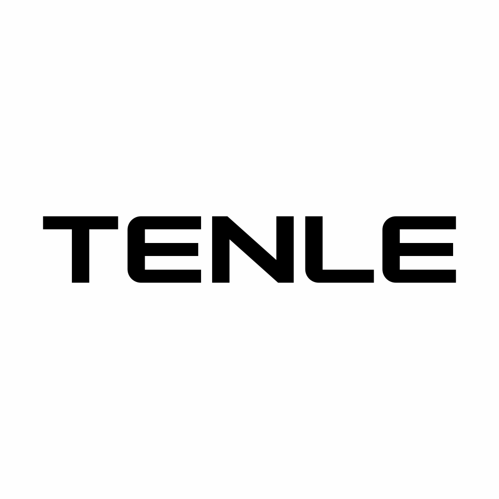 Shenzhen Tianle Player Technology Co., Ltd. logo
