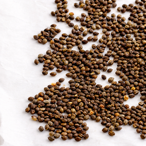 SEMILLAS DE PAPAYA SECAS / DEFENSA NATURAL / MARCA CLEAN LABEL / EARTH GROWN / MS. ALINA - Product Image 5