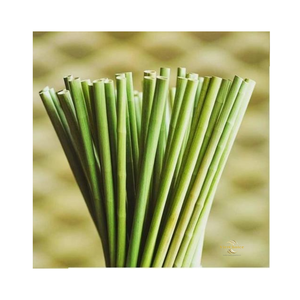 Pajitas Biodegradables de Paja Natural Ecológicas para Beber, para Restaurantes, Venta al por Mayor Global - Product Image 6