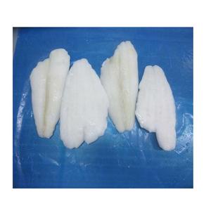 Filets de sole congelés de qualité supérieure, prêts à être expédiés, qualité alimentaire, approvisionnement en gros, qualité supérieure, fabricant exportateur - Product Image 1