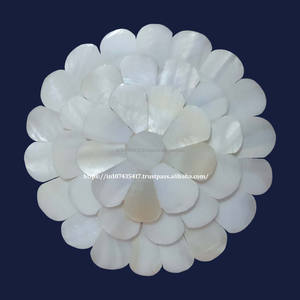 Gran oferta, espejo blanco de concha de mar de nácar para obsequios de Acción de Gracias, espejos de nácar para listo para enviar - Product Image 1