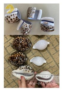 Anneaux de serviette en coquille de cauris naturelle, faits à la main, décoration de table rustique, 6-7 cm, motif animalier, décoration d'intérieur - Product Image 4