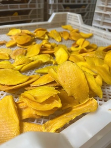 Mangue séchée douce du fleuve Mékong Snack tropical de qualité supérieure, vente en gros en vrac et service OEM - Product Image 2