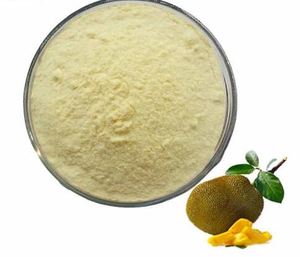 Polvo de Semilla de Jaca Natural, Alternativa a la Harina Sin Gluten, Grado Alimenticio, Suministro a Granel desde Vietnam - Sra. Grace - Product Image 1