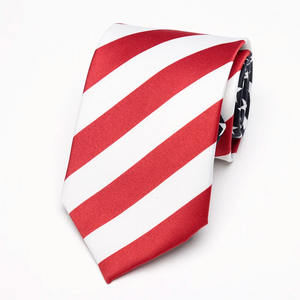 Cravate Classique en Soie Artificielle Paisley Écologique pour Hommes, Idéale pour Mariages Formels, Soirées d'Affaires et Spectacles - Product Image 3