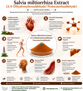 Hgo สารสกัดจากซัลเวีย miltiorrhiza บริสุทธิ์3 4-Dihydroxybenzaldehyde/โพรโทคาเทคค ualdehyde 20% - Product Image 4