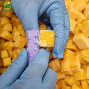 Mango Congelado IQF de Alta Calidad – Envasado al Vacío – Directo de Fábrica en Vietnam - Product Image 4
