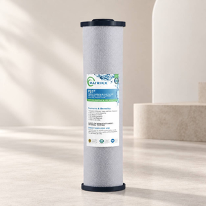Cartouche filtrante au chlore Charbon actif Big Blue Qualité commerciale - Product Image 1