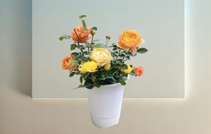 Maceta superventas para decorar el hogar y el jardín, maceta de borde ondulado alto con plástico de alta calidad - Product Image 2