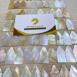 New White Mother Of Pearl Square Flat From Vietnam For Furniture Inlay And Luxury Interior Decor By 99 Gold Data Firm - Product Image 4