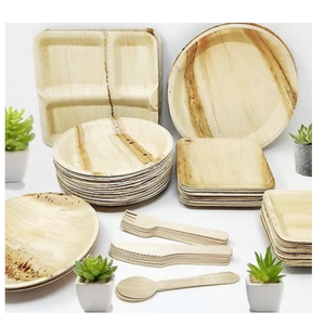 Premium <b>Disposable</b> Areca Palm <b>Plates</b> with Smooth Natural Finish for Family Gatherings Corporate Events and Hospitality Use - Product Image 3