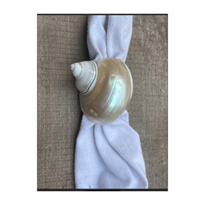 White Shell Napkin Ring Fast Ship From Viet Nam Decorative Dining Accessory for Restaurant Hotel and <b>Party</b> <b>Table</b> Settings - Product Image 3