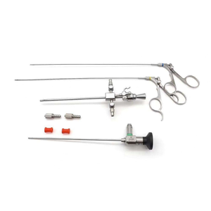 Endoscope rigide vétérinaire pour la chirurgie des chiens et des chats, endoscope pour animaux en acier inoxydable, certifié CE classe II, réutilisable - Product Image 2