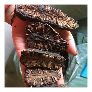 Noni Seco Procesado con Cuidado para Té, Molienda en Polvo y Uso en la Elaboración de Alimentos - Product Image 1