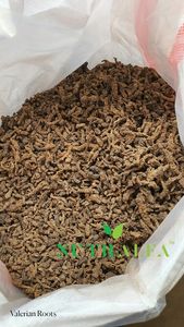 รากวาเลียนสำหรับสมุนไพรและการผลิตอาหารเสริม - Product Image 3