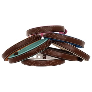 Customized PP Dog Collar with Leather & Iron Hardware Personalized Ribbon Decoration Custom Logo for Pet <b>Training</b> - Product Image 6