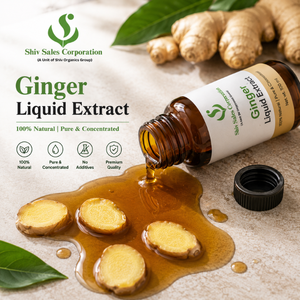 Extrait de gingembre liquide pour usage commercial en vrac, idéal pour la fabrication alimentaire, les applications culinaires et les projets d'amélioration de la saveur - Product Image 1