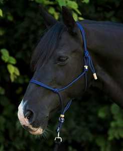 Cabestro de cuero premium ajustable de nailon negro para caballo con narigueña acolchada, herrajes de latón duraderos, extraíble y lavable, cómodo - Product Image 1