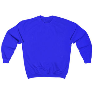Sweat-shirt FVSU Wildcats à col rond et manches longues, personnalisable avec broderie, couleurs or et personnalisées, pour les sororités et les universités - Product Image 3