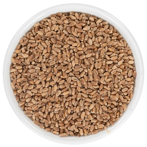 Blé tendre de qualité supérieure en gros, vente en vrac de qualité alimentaire, prêt à être expédié, approvisionnement pour l'exportation - Product Image 5