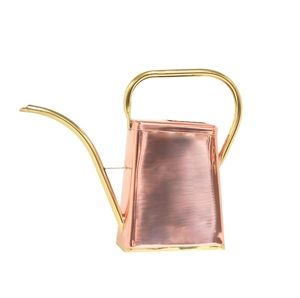 Arrosoir en métal galvanisé avec garniture en laiton doré, style ferme, pour jardin, intérieur et extérieur, outil d'entretien des plantes, en vente - Product Image 2