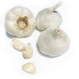 Colección de Productos Frescos de Calidad con Bulbos de Ajo Blanco Fresco de Sabor Natural y Empaque Listo para Exportación para Compradores Mayoristas - Product Image 2