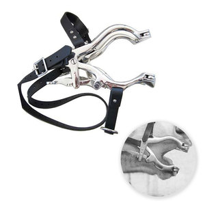 Retractor Bucal Equino, Espéculo Dental Veterinario, Retractor de Mejillas para Caballos GUJJAR SURGICAL INTERNATIONAL - Product Image 4