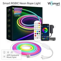 Tira de Luces LED Inteligentes RGBIC WS2812B de 5V USB, Luces de Neón a Prueba de Agua con Control Remoto por Aplicación, Color de Ensueño, Decoración para Sala de Juegos